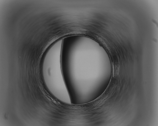 X0000092320435200709141053