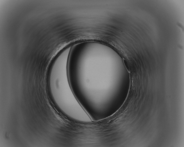 X0000092320436200709141053