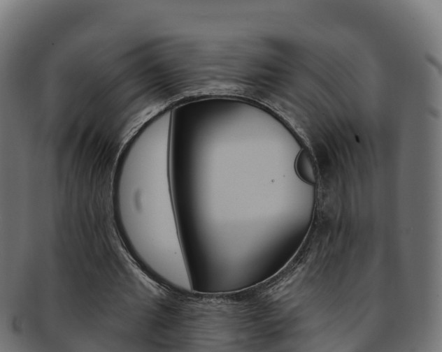 X0000092320437200709141053
