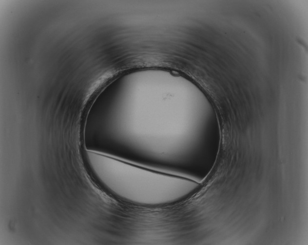 X0000092320438200709141053