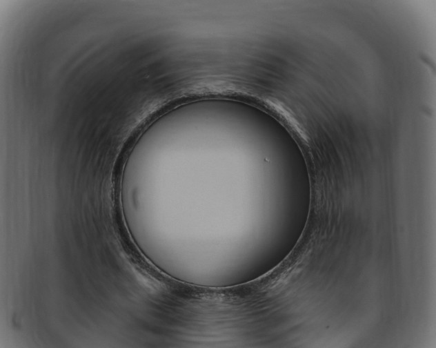 X0000092320439200709141053