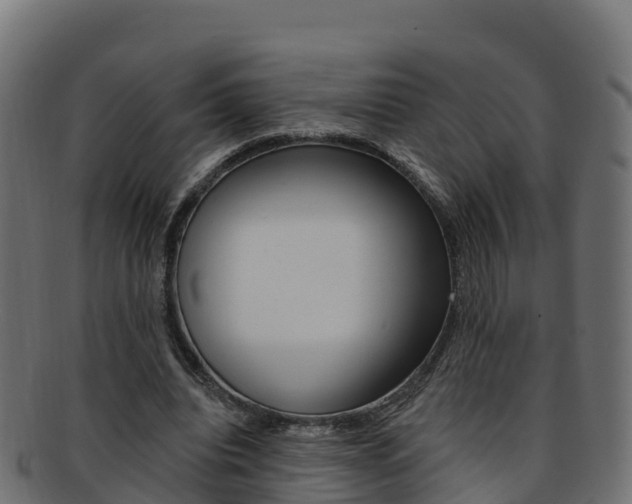 X0000092320440200709141053
