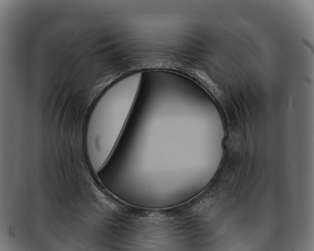 X0000092320441200709141054