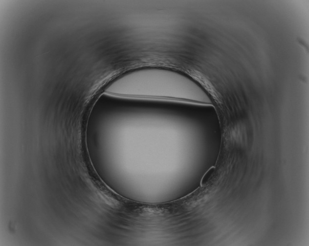 X0000092320442200709141054