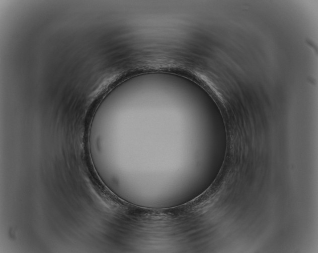 X0000092320443200709141054