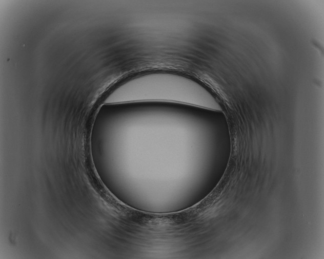 X0000092320444200709141054