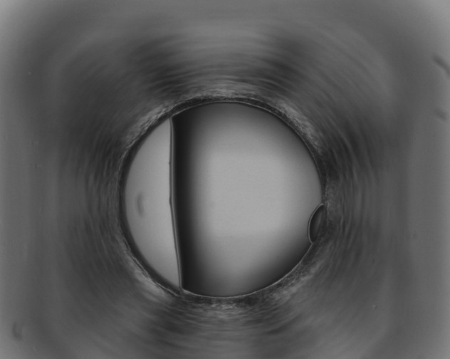 X0000092320445200709141054