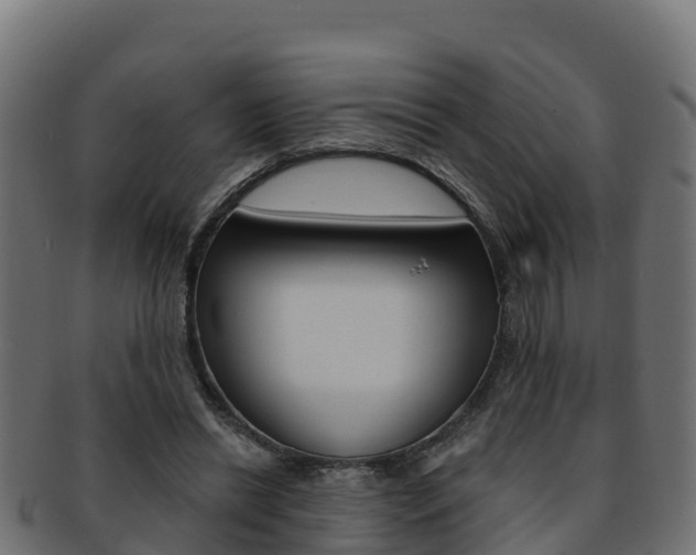 X0000092320446200709141054