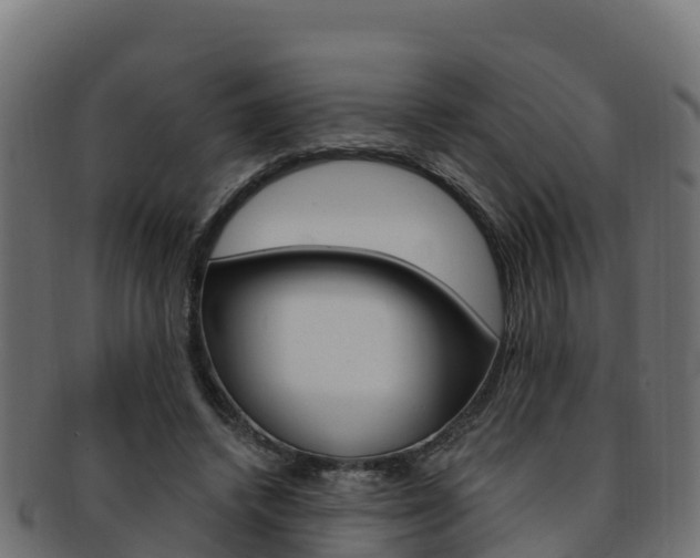 X0000092320448200709141054