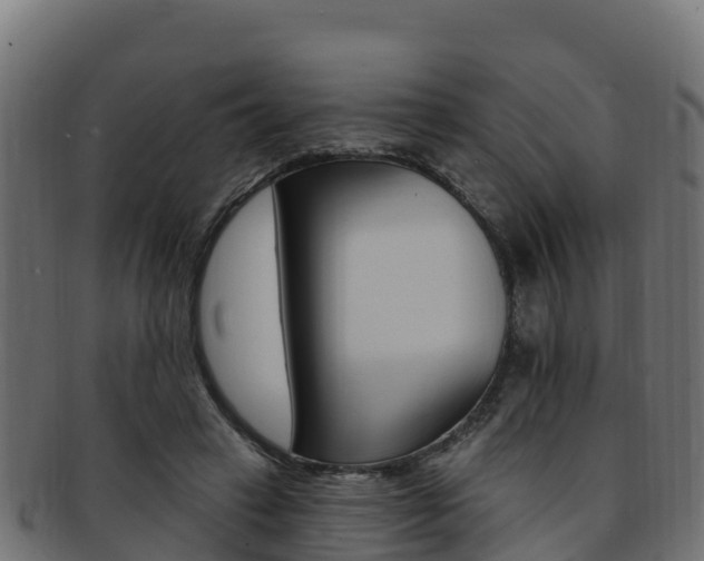 X0000092320449200709141054