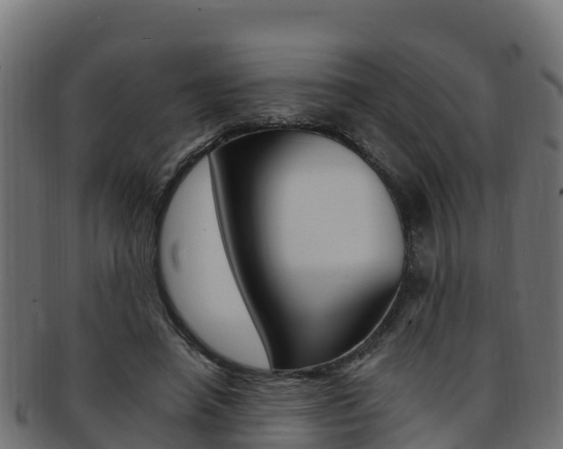 X0000092320450200709141054