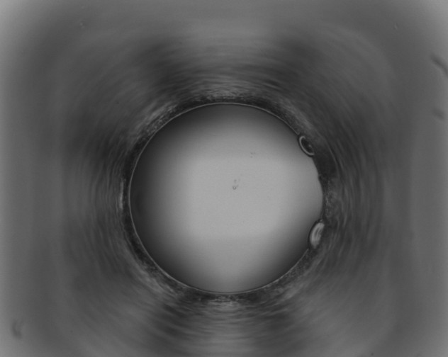 X0000092320454200709141054