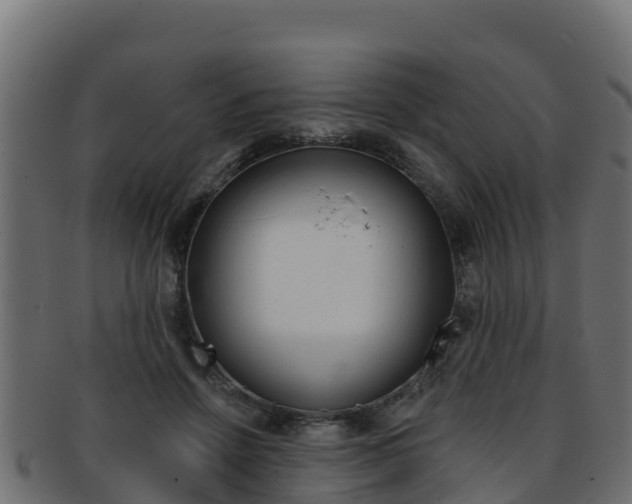 X0000092320456200709141054