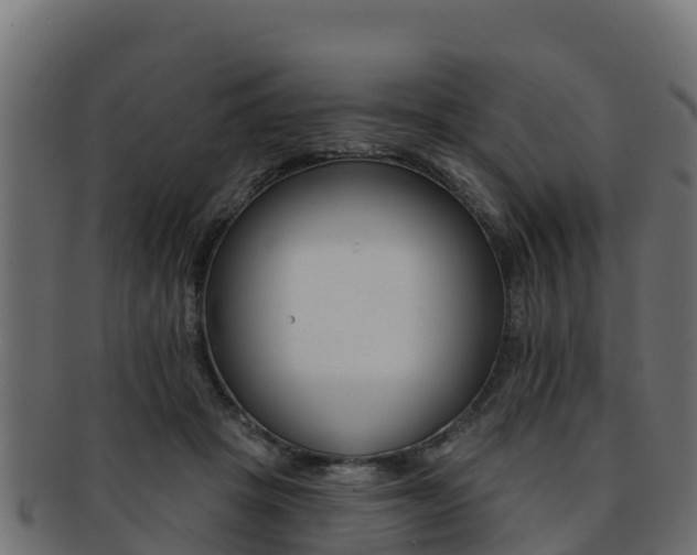 X0000092320457200709141054