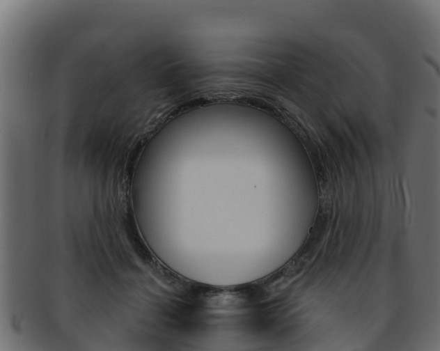 X0000092320460200709141054