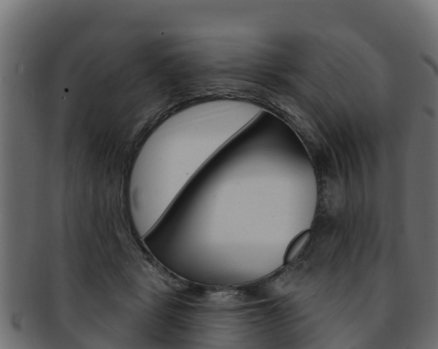 X0000092320461200709141054