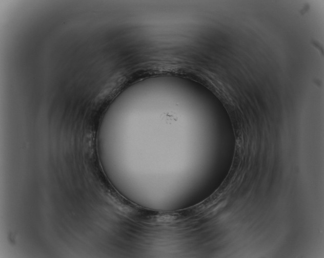 X0000092320462200709141054