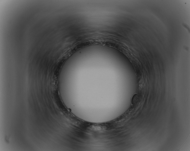 X0000092320464200709141054