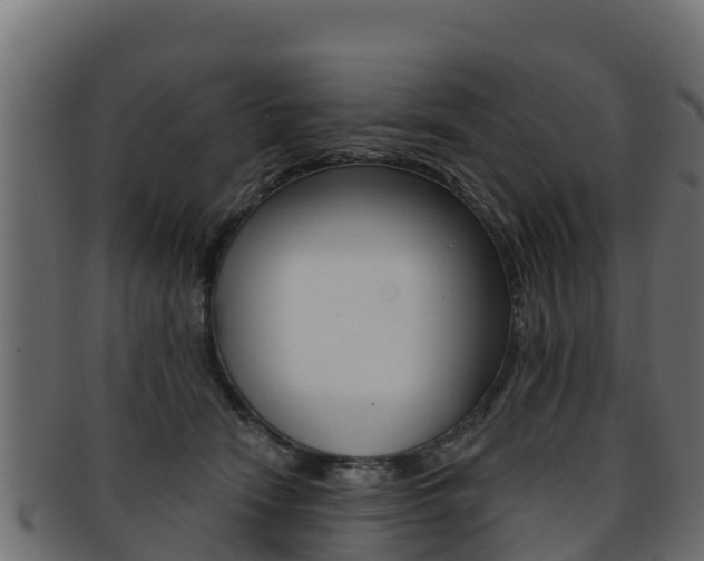 X0000092320466200709141054