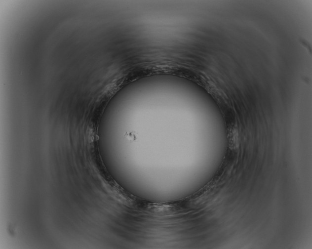 X0000092320472200709141054