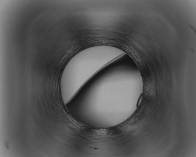 X0000092320473200709141054
