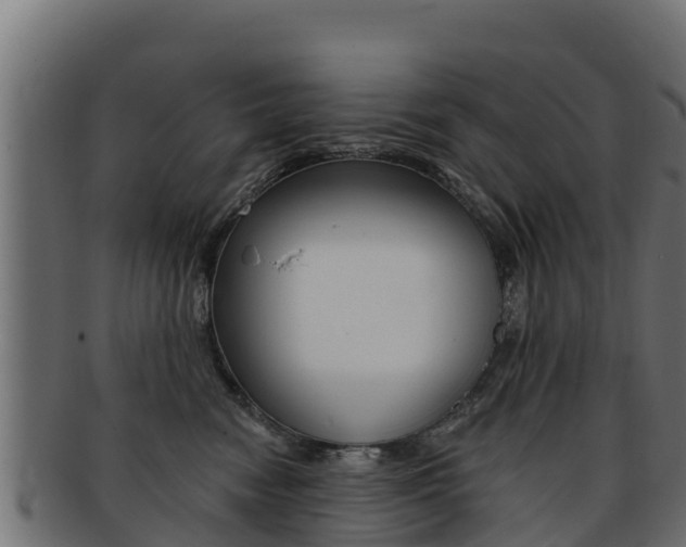 X0000092320474200709141054