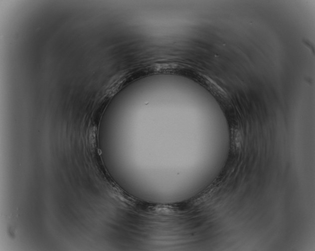 X0000092320475200709141054