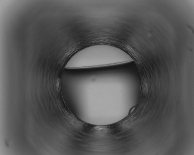 X0000092320477200709141054