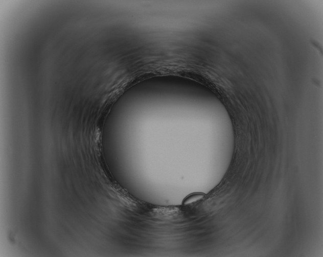 X0000092320480200709141054