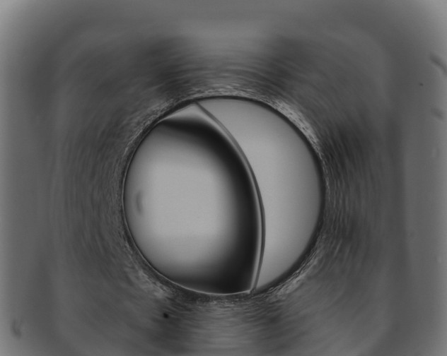 X0000092320481200709141053