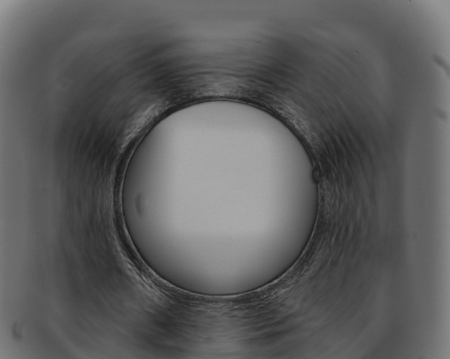 X0000092320482200709141053