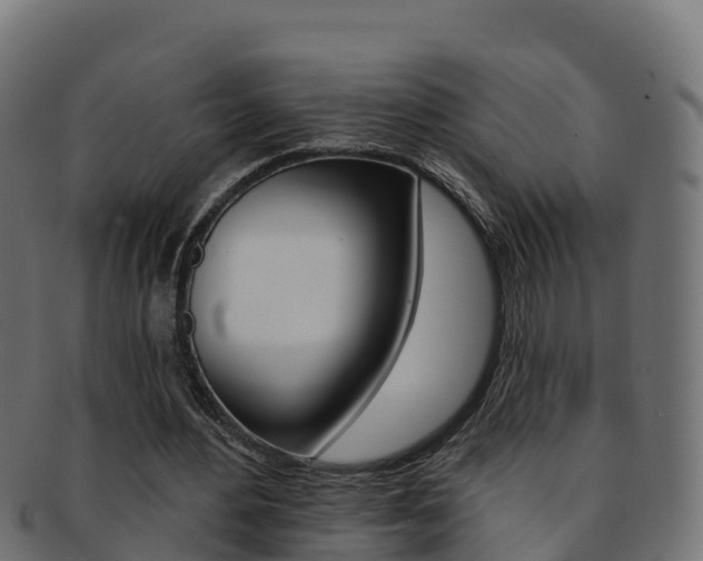 X0000092320484200709141053