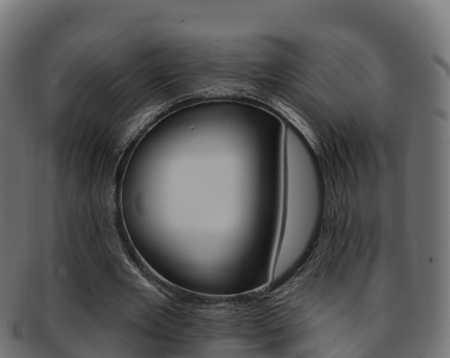 X0000092320485200709141053