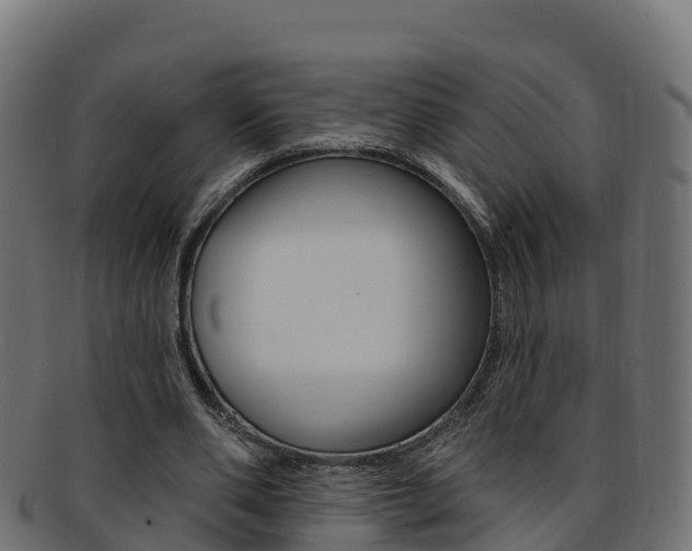 X0000092320486200709141053