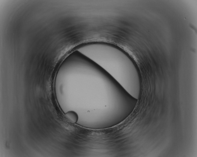 X0000092320487200709141053