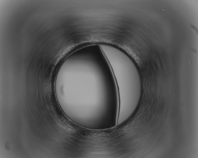 X0000092320488200709141053