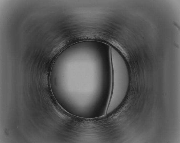 X0000092320489200709141053