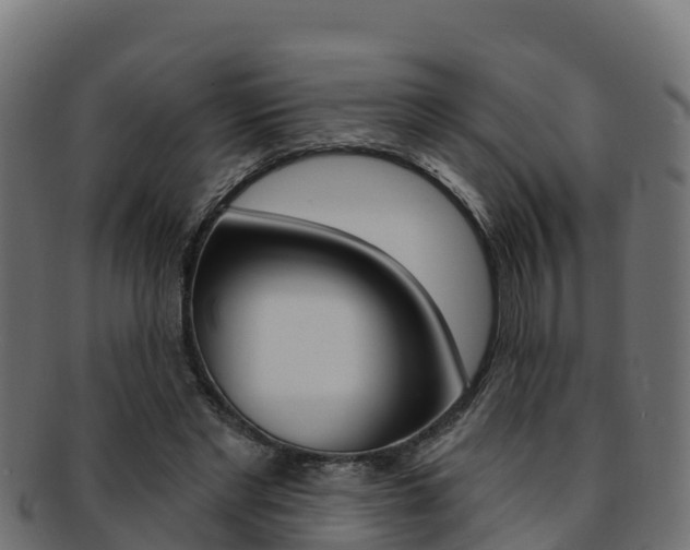 X0000092320493200709141053