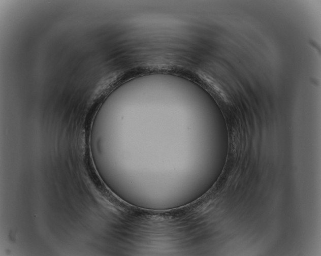 X0000092320494200709141053