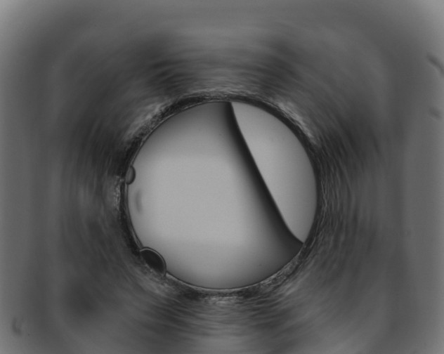 X0000092320495200709141053
