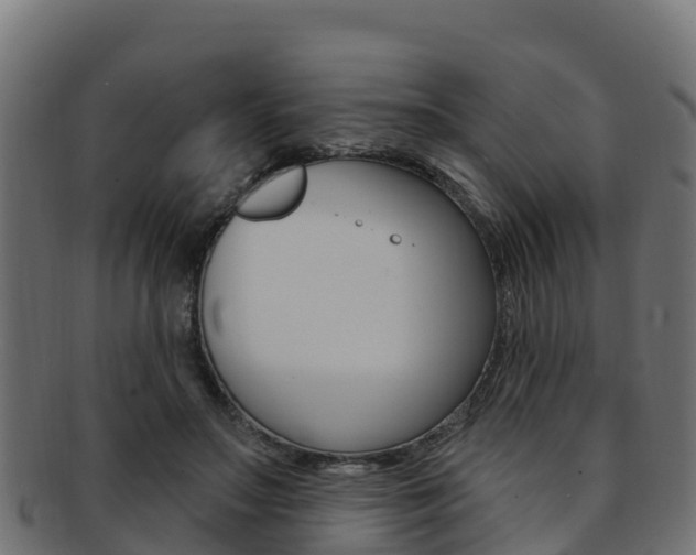 X0000092320499200709141053