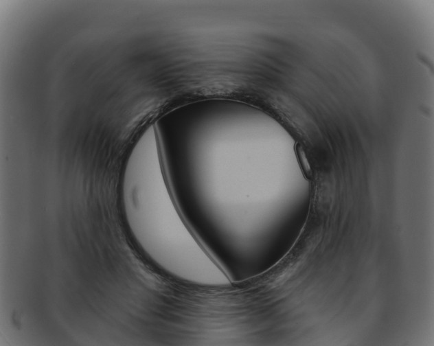 X0000092320501200709141053