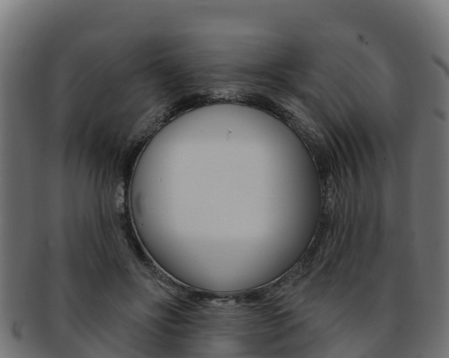 X0000092320502200709141053