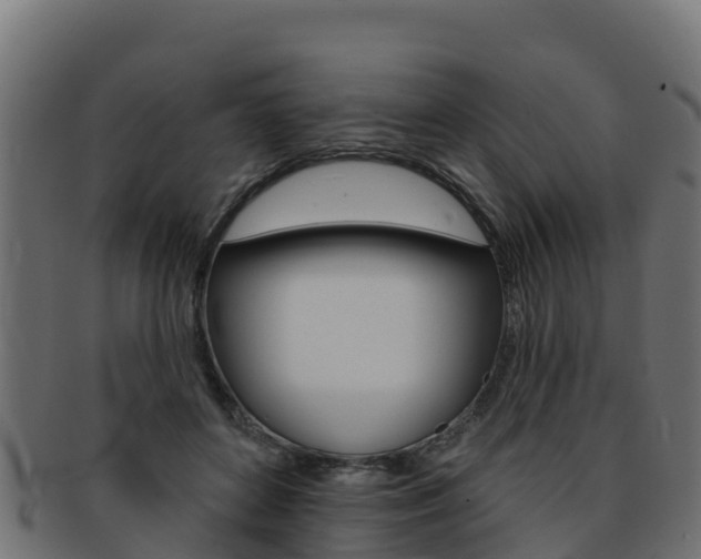 X0000092320504200709141053