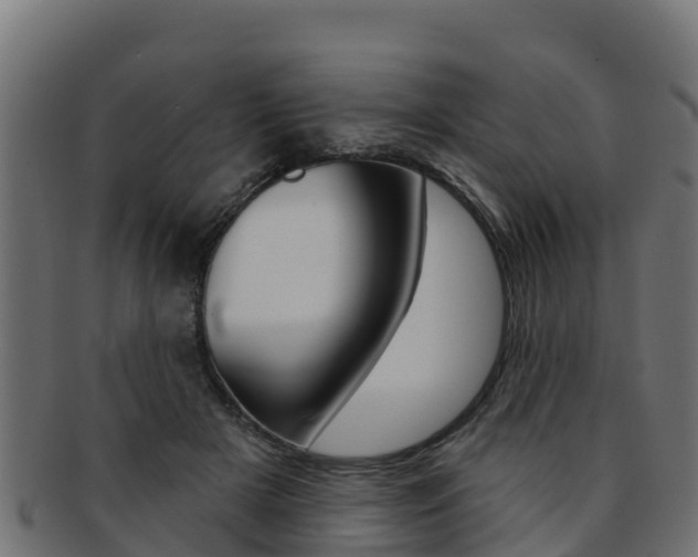 X0000092320505200709141053