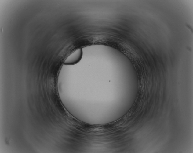 X0000092320506200709141053