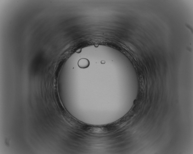 X0000092320507200709141053