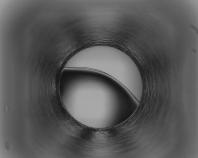 X0000092320508200709141053