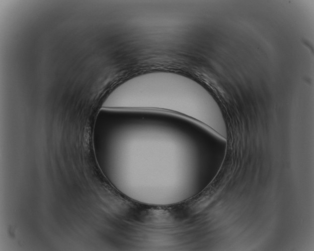 X0000092320509200709141053