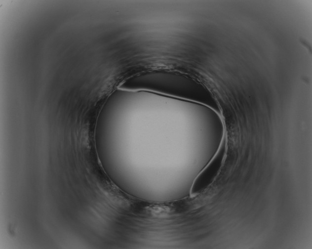 X0000092320512200709141053
